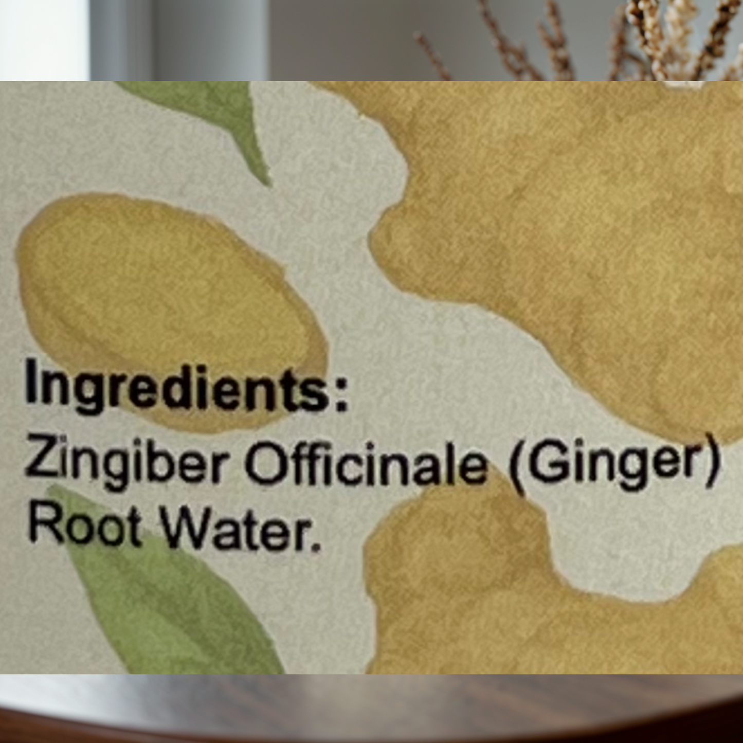 Ginger Hydrosol Mist by Garna – Botanical face & hair mist for daily use 250 ml