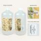 Eau hydrolat de gingembre de Garna – 946 ml d'eau botanique dans une simple bouteille