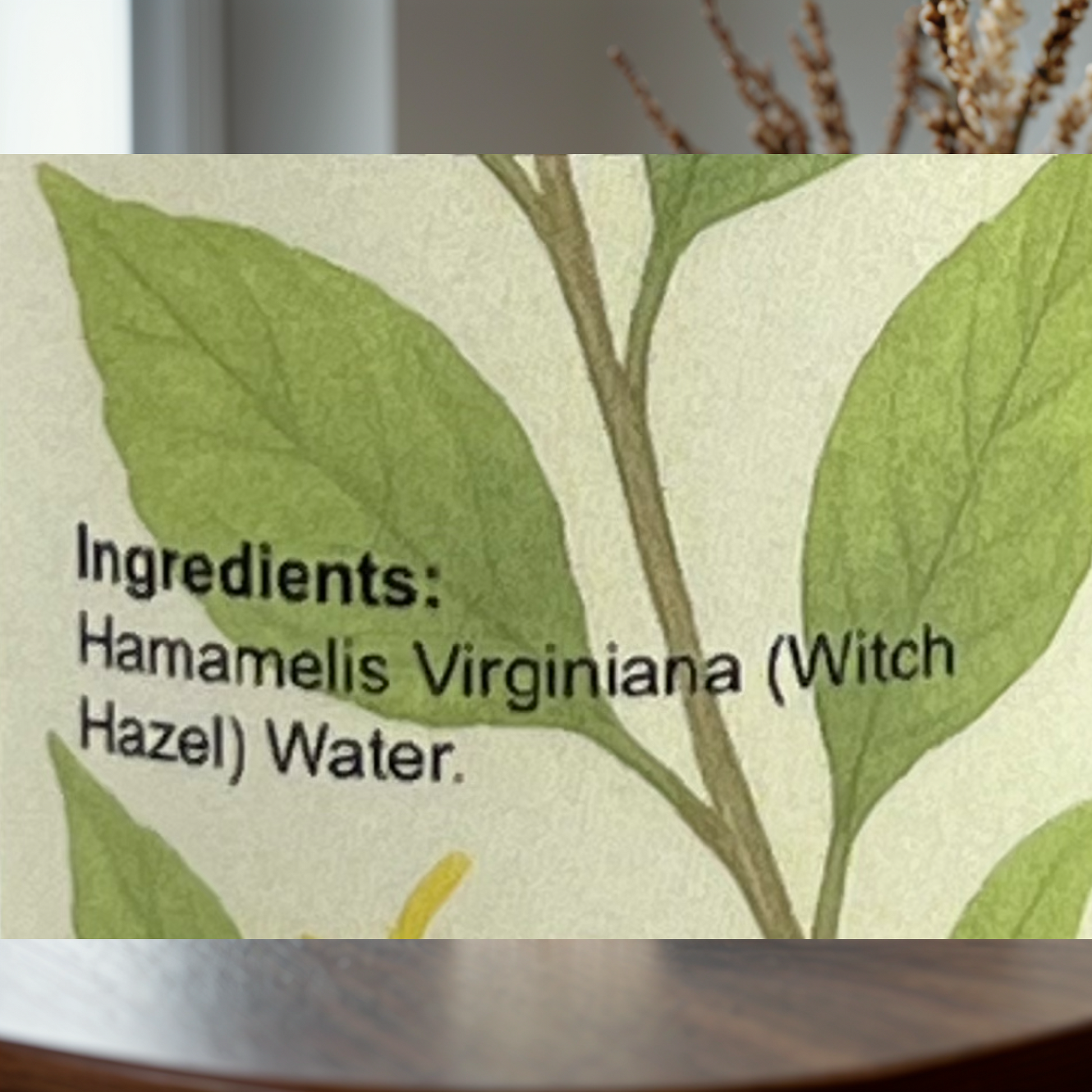 Witch Hazel Hydrosol Mist 250ml for Face & Hair by Garna, botanical product photo