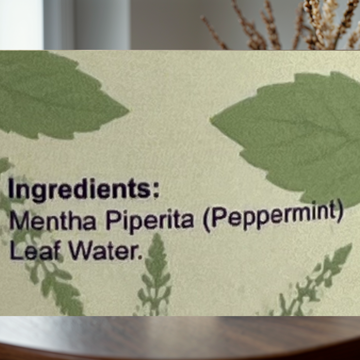 Mint Hydrosol Mist by Garna – Botanical face & hair mist for daily use 250 ml